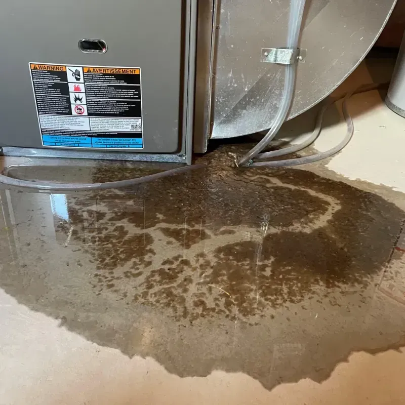 Appliance Leak Cleanup in Hartville, OH